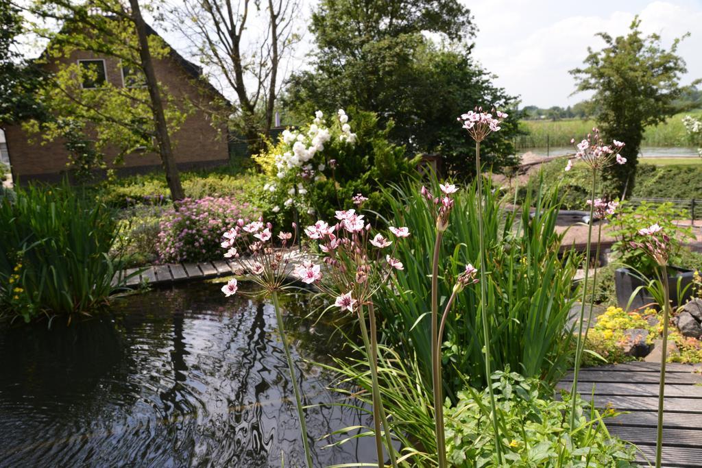 Guest House Aan De Hollandse Ijssel Montfoort Dış mekan fotoğraf